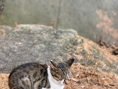 -崂山巨峰游览区