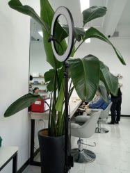 -未来美发·T1M HAIR SALON