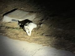 -鬼笑石后山停车场