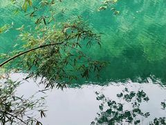 -鼎湖山风景区