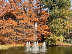 -上海共青森林公园