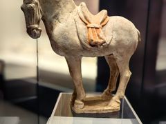 -隋唐大运河文化博物馆