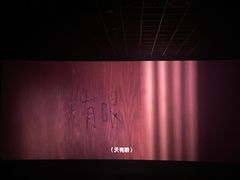 -纵横国际影城杜比全景声巨幕(天安云谷店)