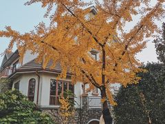 -鹏欣花园国宾酒店西餐厅