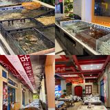 世界上的海鲜 海鲜中的世界🦞