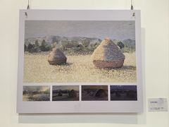 -中国宋庆龄青少年科技文化交流中心