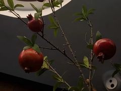 -龙宴海鲜城(经中路店)