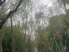 -柳浪闻莺公园
