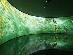 -中国湿地博物馆