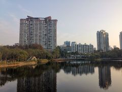 -四海公园(南山区)