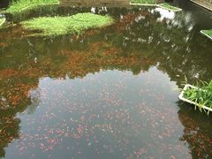 -普陀山风景名胜区-法雨禅寺