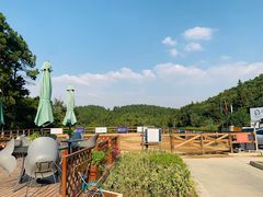 -枫露马术学院(藏书校区)