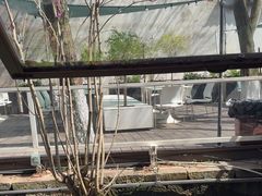 -乌记大厨餐厅