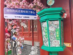 -泰山风景名胜区