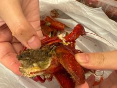 -杨氏青龙虾·吃蟹季(金盛路总店)