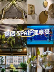 -青青一生美皮肤管理