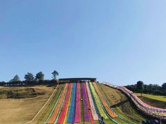 -衢州飞鸿滑草场