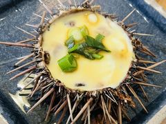 海胆蒸蛋-海胆小馆(东北水饺·春柳店)