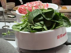 -龍歌自助小火锅(雨花台江南虹悦城店)