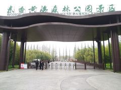 -黄海国家森林公园