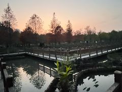 -五缘湾湿地公园