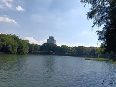 -荔湾湖公园