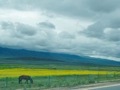 -青海湖国家重点风景名胜区