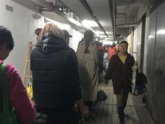 -珍妮曲奇聪明小熊(尖沙咀店)