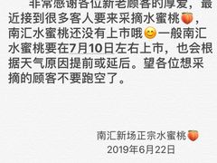 -南汇新场正宗水蜜桃采摘