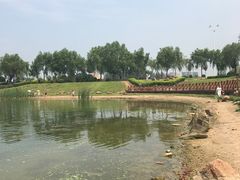 -丁香湖公园