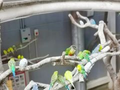 -正佳雨林生态植物园