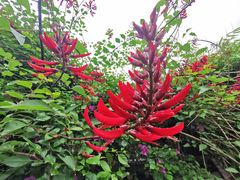 -生态苑农庄(十里画廊遇龙河店)