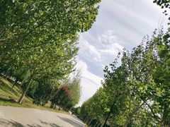 -永定河休闲森林公园