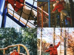 -上海海湾国家森林公园