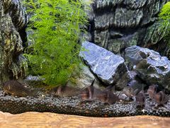 -上海海洋水族馆