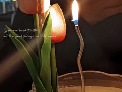 -Hi City·城市之巅