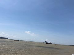 -大湾区中央湿地公园