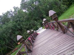 -三亚亚龙湾金棕榈度假酒店