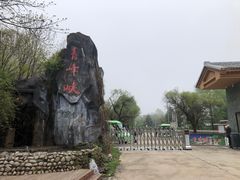 -青峰峡国家森林公园