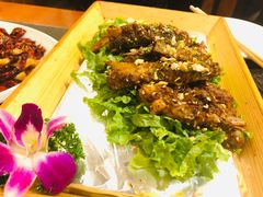 -福苗小骆驼烧烤(大唐不夜城店)