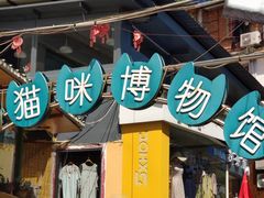 -猫咪博物馆(顶澳仔猫街店)