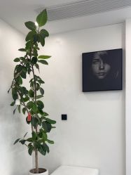 点击看大图 -木子美学