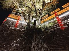 -西昌邛海湾柏樾酒店(原邛海湾柏栎度假酒店)