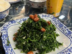 -靖远尕六美味羊羔肉