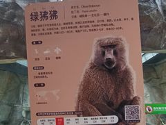 -武汉动物园