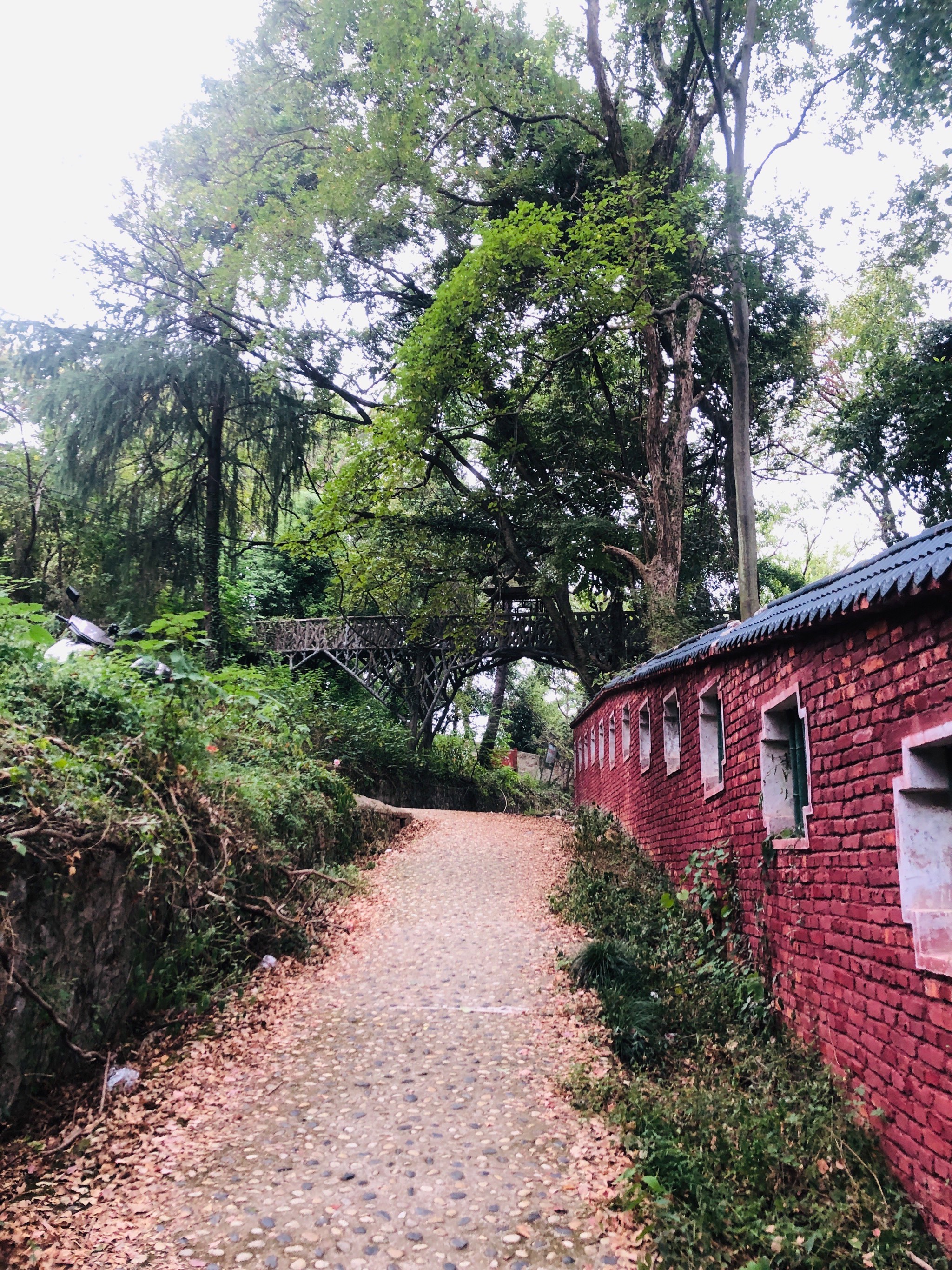 江夏八分山绿道路线图图片