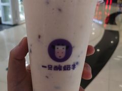 -一只酸奶牛(来福士店)