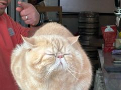 -吴裕泰茶庄(鼓楼店)