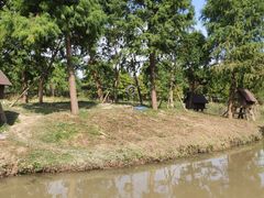 -宁波杭州湾国家湿地公园