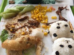 -上海野生动物园老虎餐厅